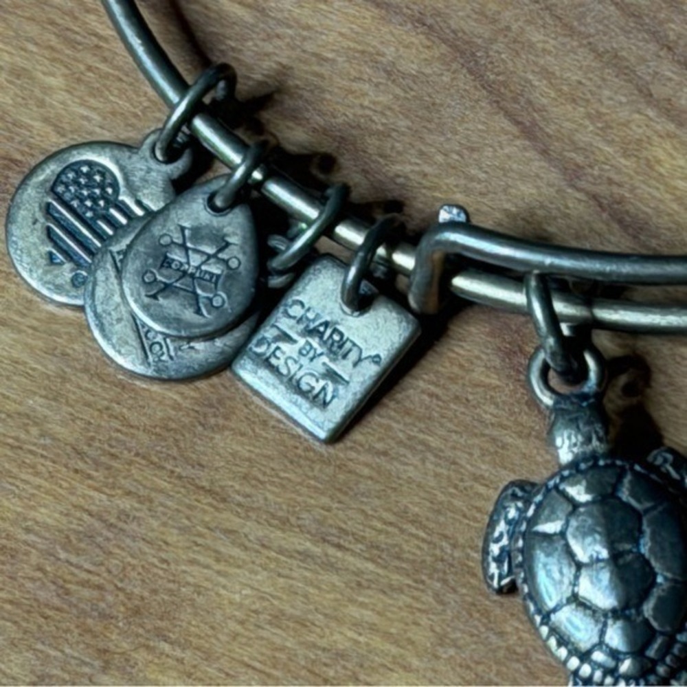 Alex and Ani Charity Bronze Charm Bangle Bracelets Dog Sea Turtle Alex&Ani Lot - Picture 4 of 8